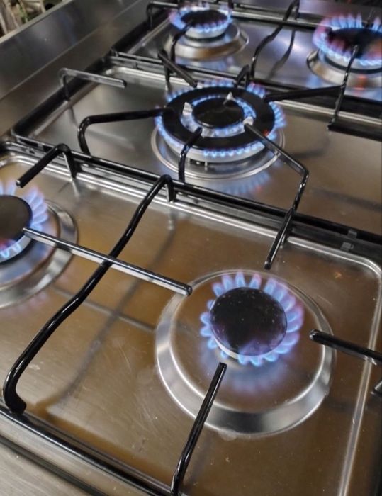 Професійна газова плита Indesit