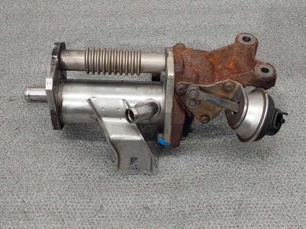 Radiador de gases / EGR RENAULT Clio III (BR0/1, CR0/1)