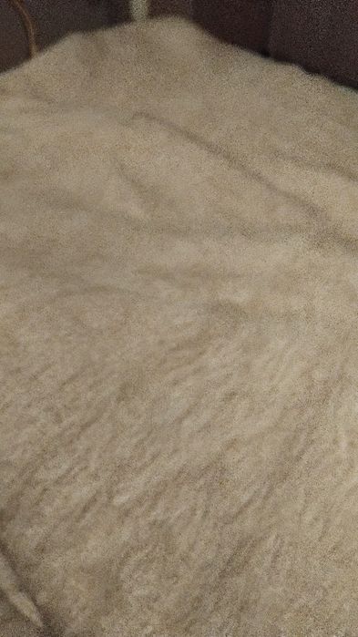 Cobertor da Serra. Lã de ovelha