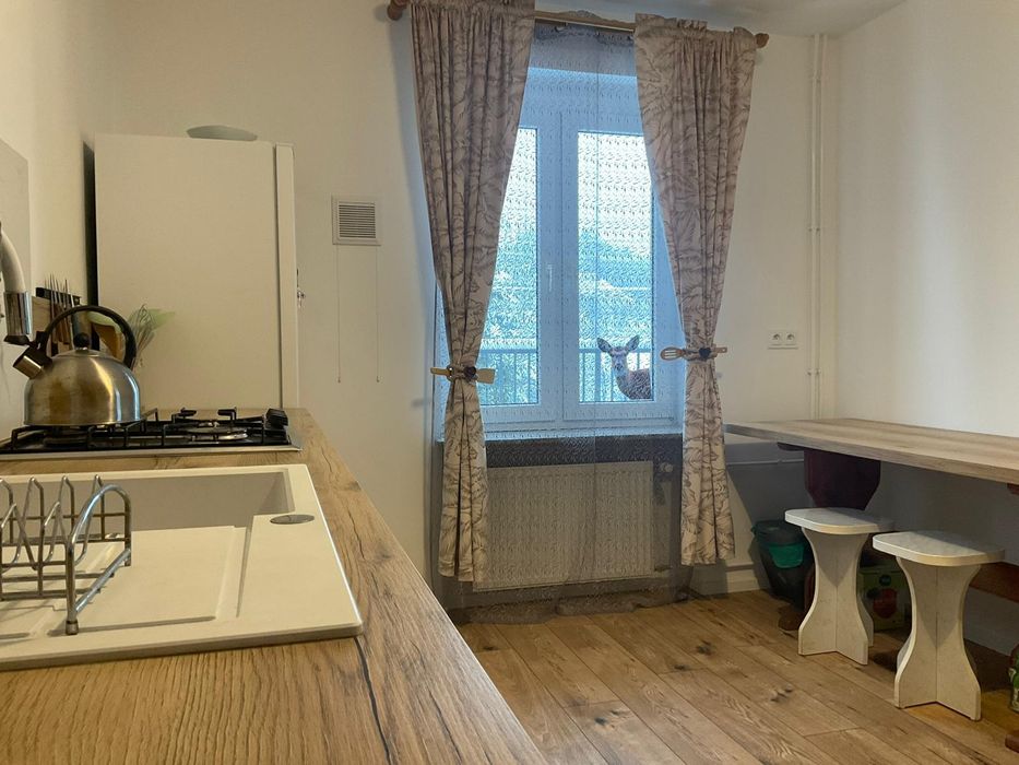 Wiejski Dom w Karkonoszach