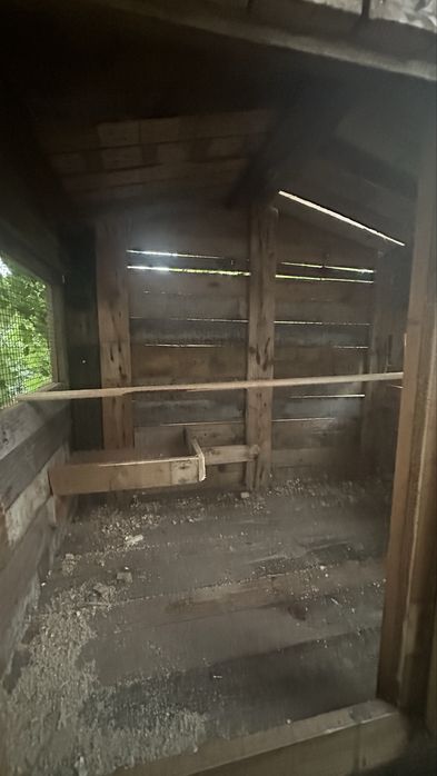 Casinha para frangos, passaros…