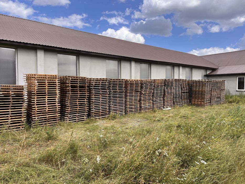 Sprzedam platety 550 sztuk / całość / wymiar 100x100