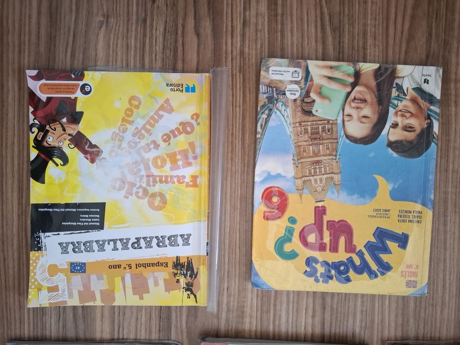 Manuais escolares do 6 ano