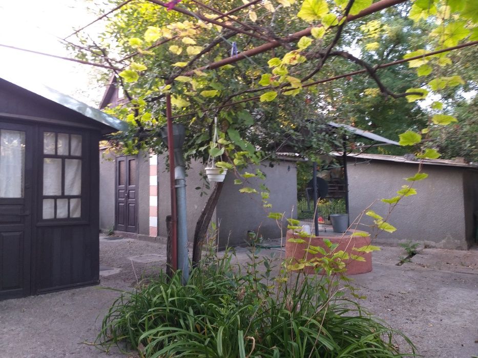 продам  дом и участок в самом центре Б-долины  для жилья и для бизнеса