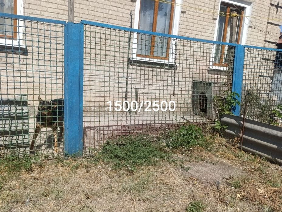 Секцїї паркану, двері