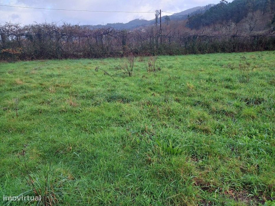 Terreno — Sabadim, Viana do Castelo