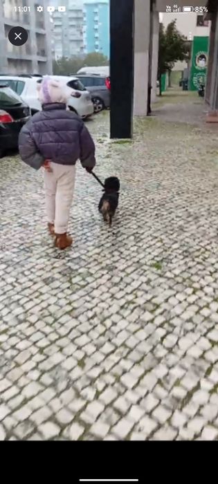 Menino para doação URGENTE