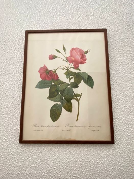 2 quadros com flores