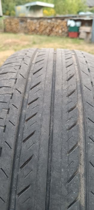 Шини  Bridgestone 205/55/16