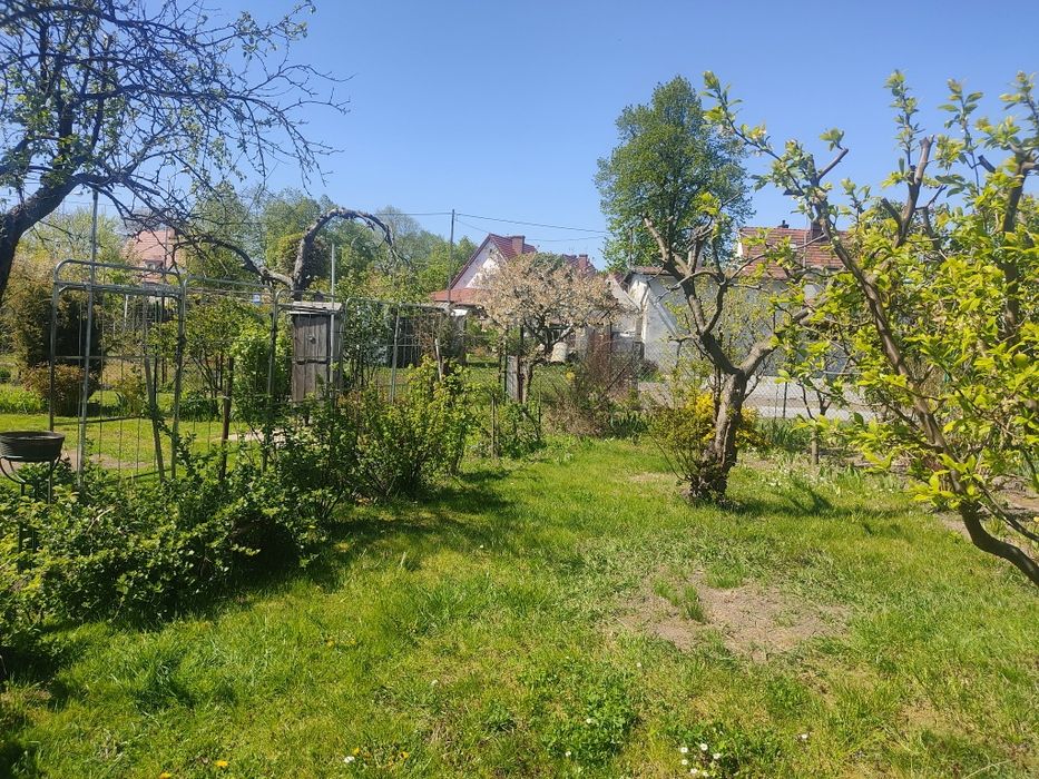 Sprzedam działkę ROD z altaną, prąd, nasadzenia, foliak – ROD "Róża" Oleśnica - Widok 4