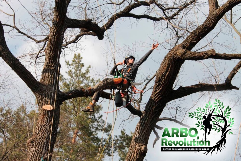 Видалення дерев,спил дерев,кронування,зрізання дерев,удаление деревьев