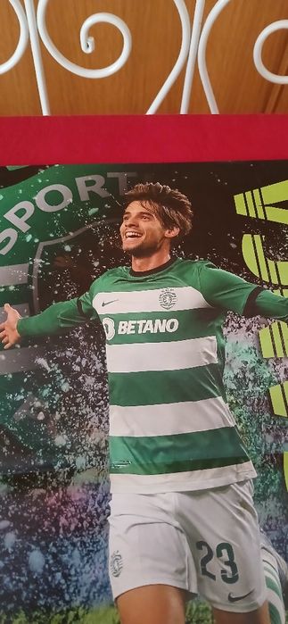 Poster Daniel Bragança