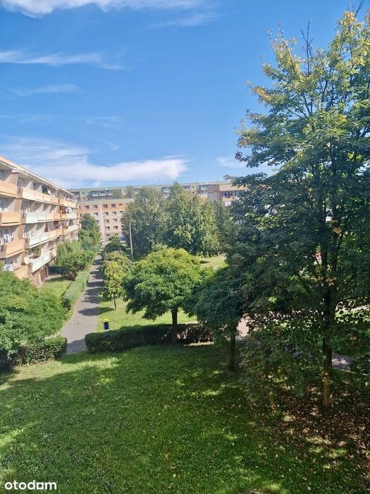 Mieszkanie do remontu | 3 pokoje | Balkon | Giszowiec | 2 piętro | KW