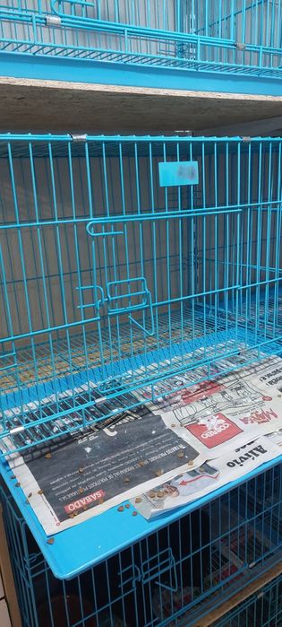 Gaiolas para cães com limpeza facio