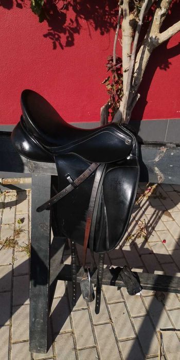 Sela Dressage PFIFF Amaretto 16 1/2''