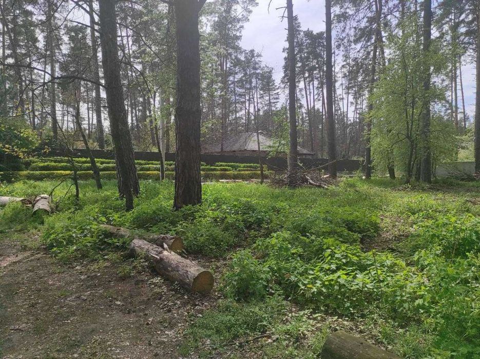 Конча Заспа. Продажа участка 13 соток под жилую застройку. ЖМ Лесной