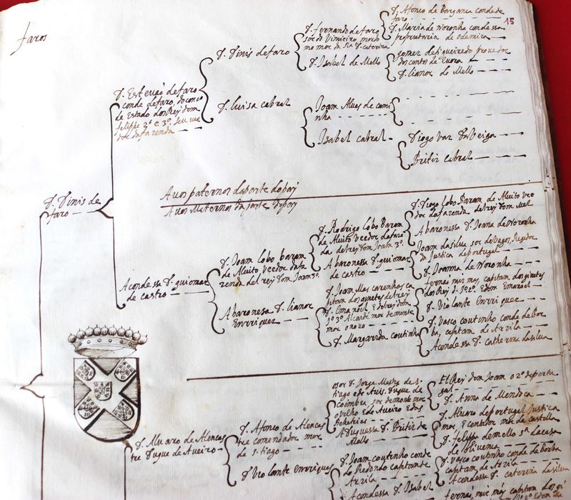 Faros, Condes de Faro 1628 árvore genealógica manuscrita rara