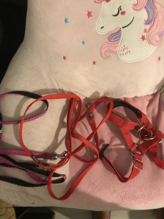 Legowisko i akcesoria