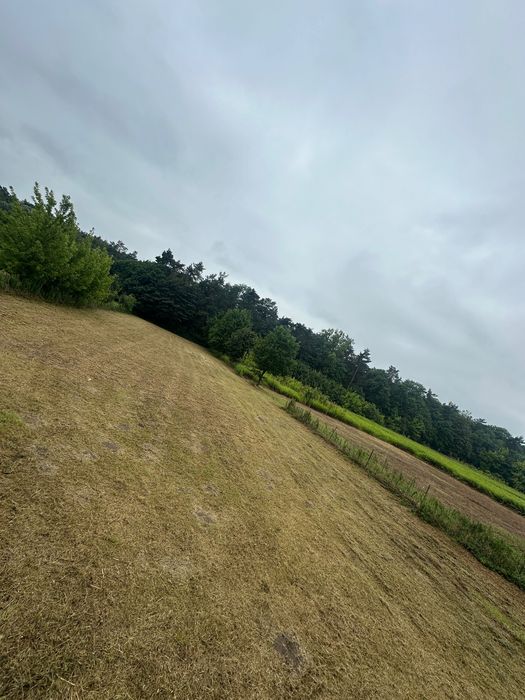 Działka Słupno 2600 m² - Widok 3