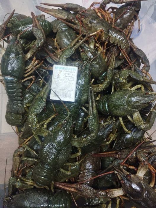 Раки живые, речные и варенные