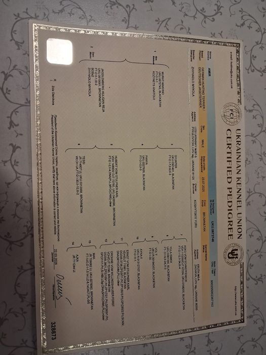 продам ягдтер'єра