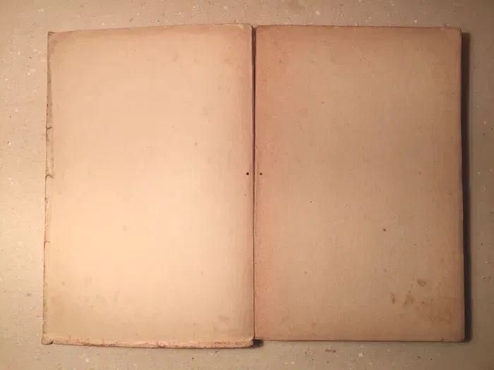 MIGUEL TORGA - 1a edição - Diário V - 1951