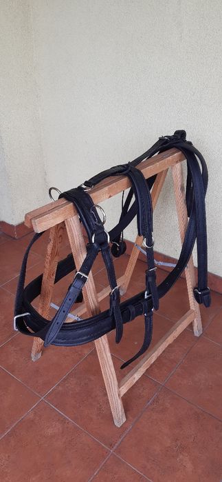 Szory  puszorek  na kucyka