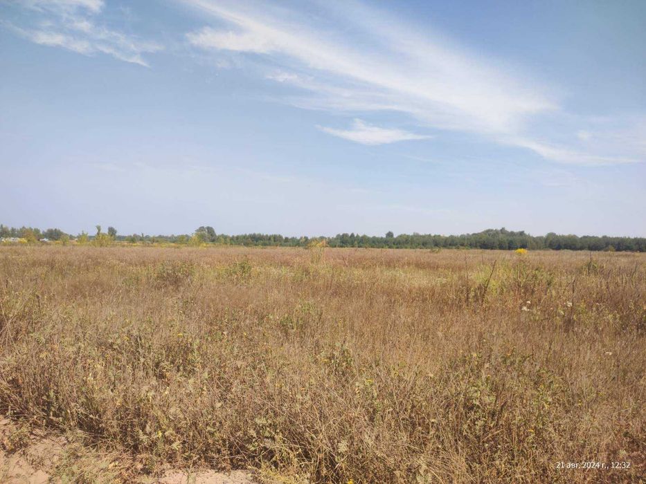 ‼️ ПРОДАЖ! Пай 2га в ПЕТРІВЦІ ‼️