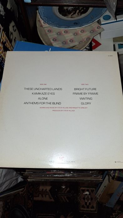 Steve Hillage for to next gong prog rock Lp
