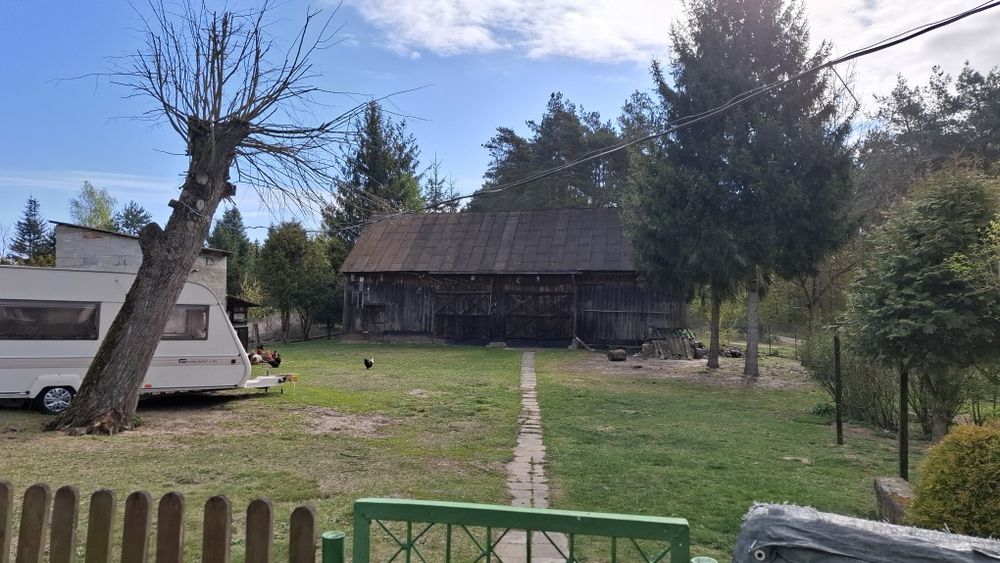 Zdjęcie 7