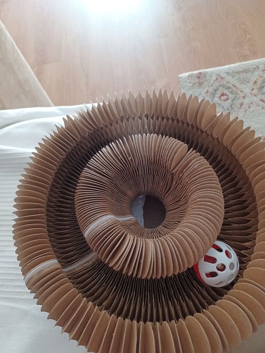 Brinquedo novo para gatinho