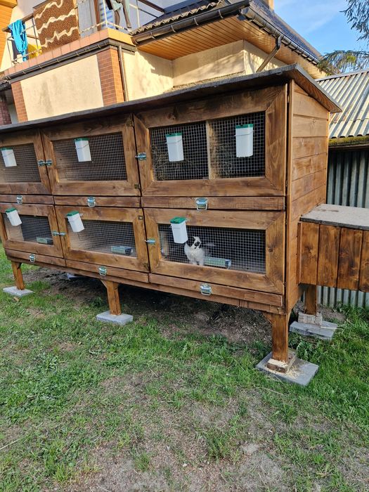 Klatki dla królików