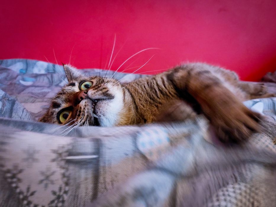 Czy ktoś mnie pokocha?