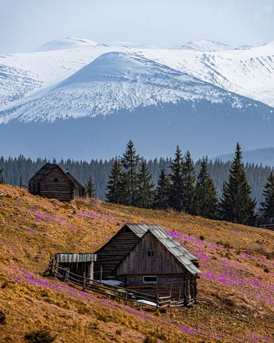 Походи на Кукул в період цвітіння крокусів