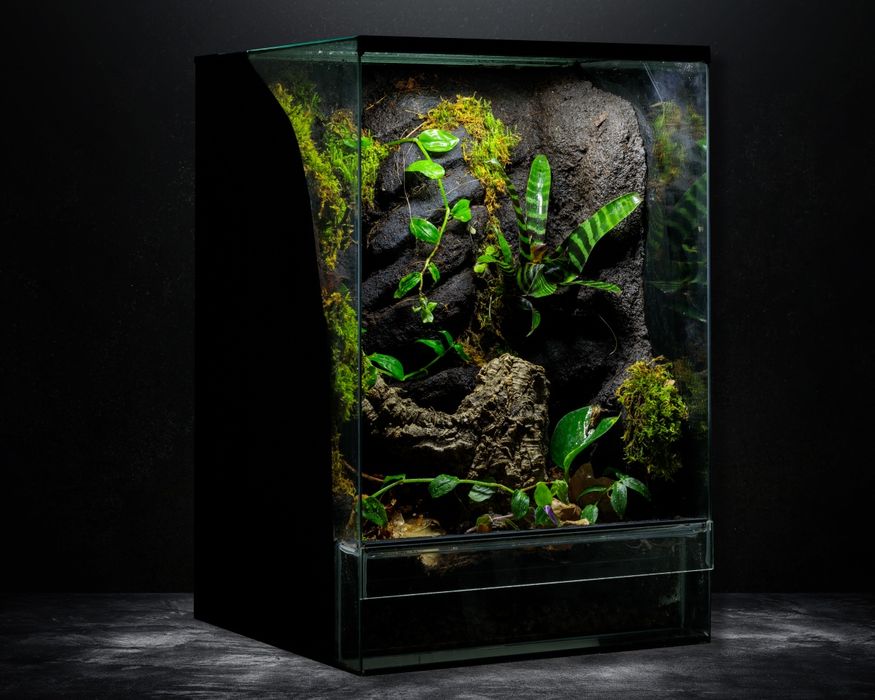 Terrarium tropikalne gekon 40x40x60