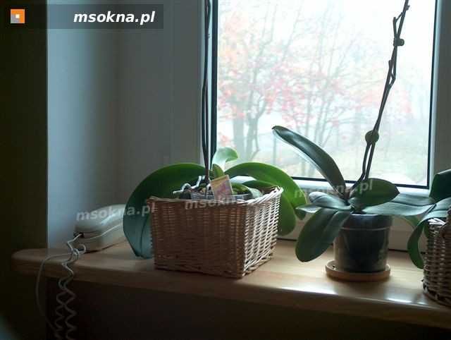 parapety wewnętrzne drewniane - dębowe