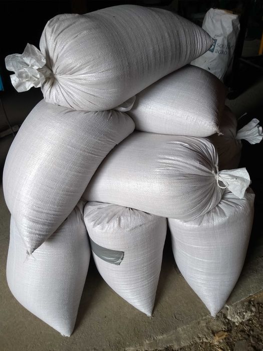 Jęczmień konsumpcyjny browarny