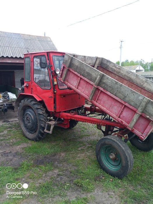 ХТЗ Т 16 в ідеальному стані+ плуг Wirax в подарунок