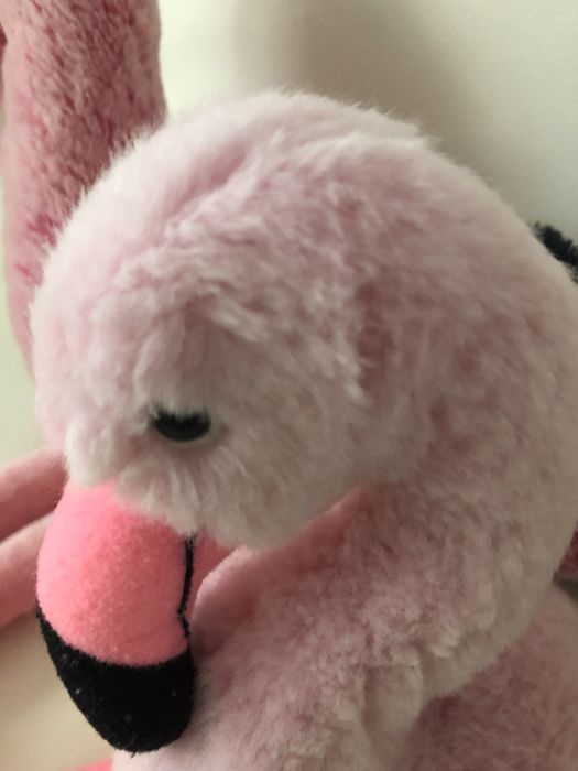 Flamingi. zestaw 2 szt