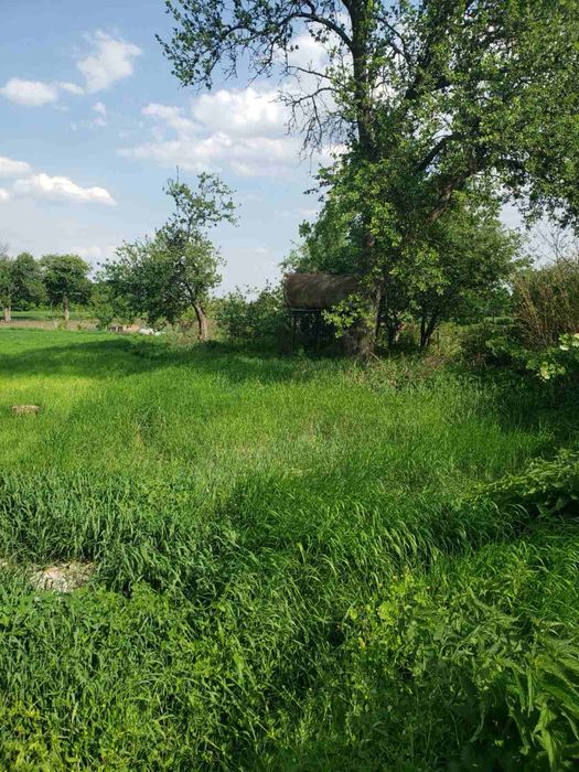 Продам дом с участком