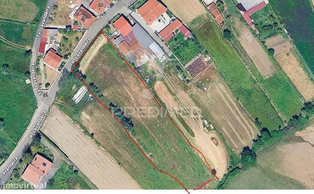 Terreno em Angeja