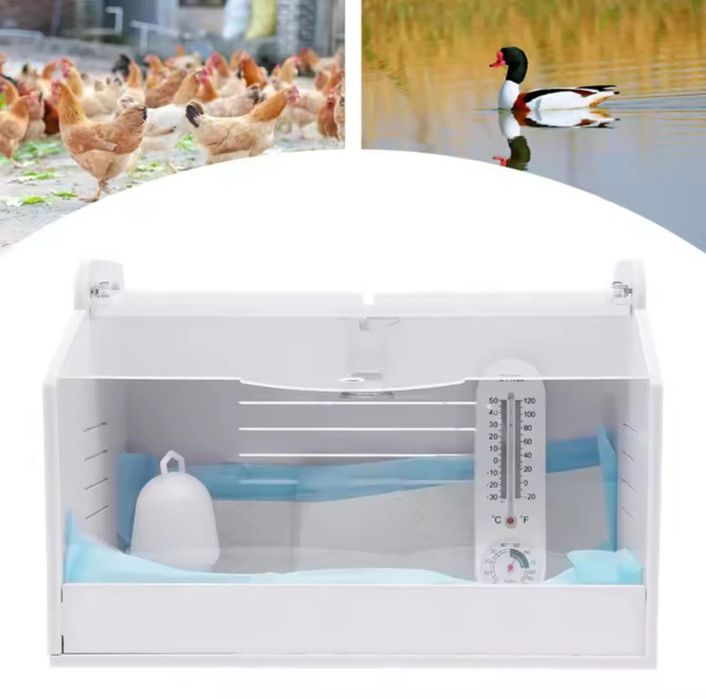 Incubadora

Inclui termómetro
Lâmpada de aquecimento 25w
Comedouro

Me