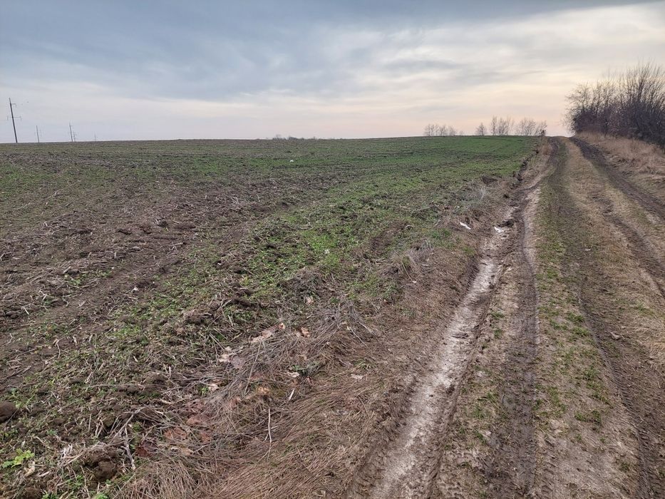 Продам фасадний пай 2.5 гектара Колоденкая