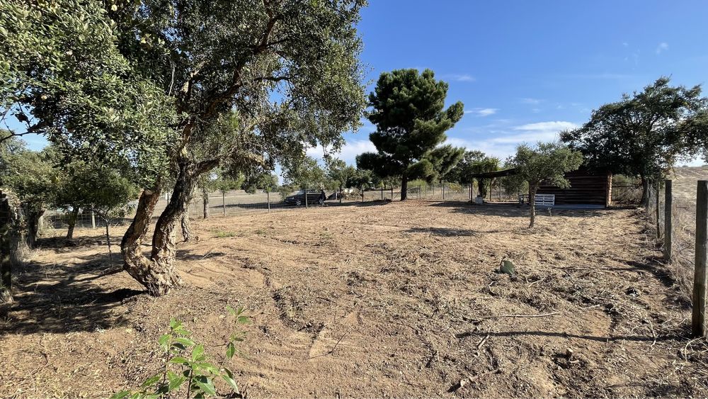 Terreno 600 “m2” Quinta do Anjo, Carrasqueira, vedado. Quinta do Anjo