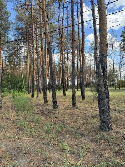 Песчанка, три участка рядом 35 соток