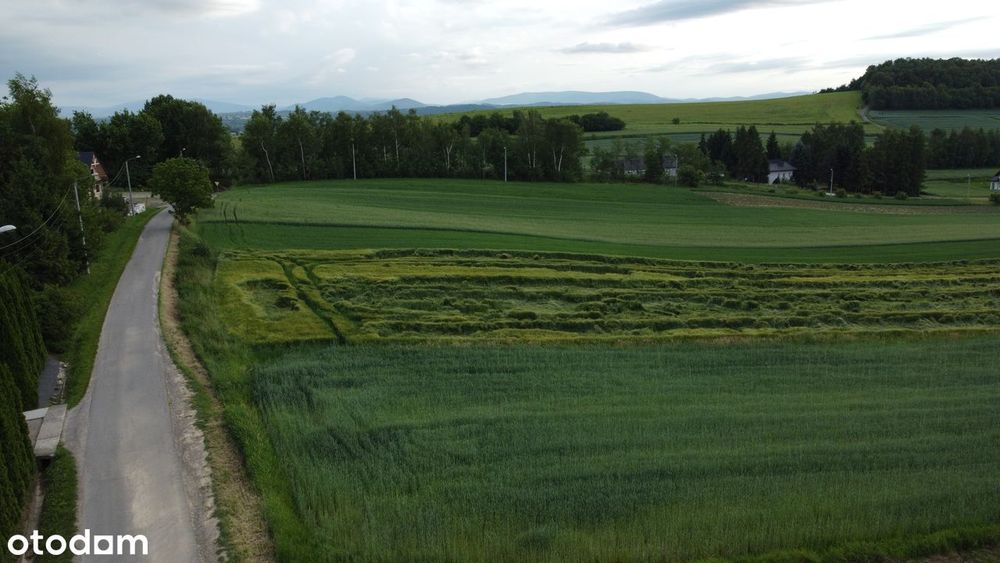 Krakuszowice 56a, media, asfalt, pociąg do Krakowa