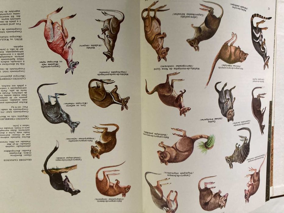 Enciclopédia A Fauna da Salvat - 11 Volumes