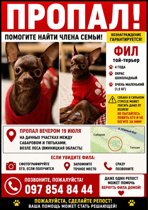 Пропав пес. Винагорода 1000$. Вінниця
