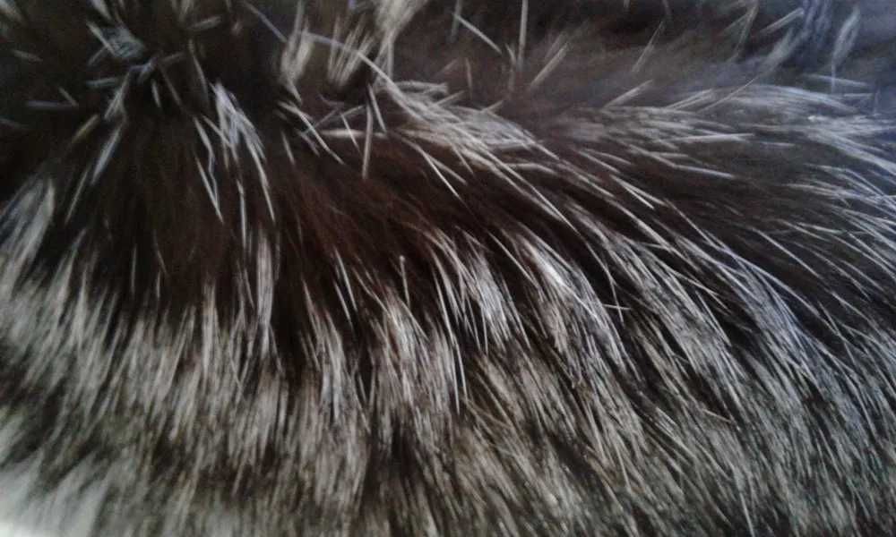 Срочно манжети лисиці чорнобурки