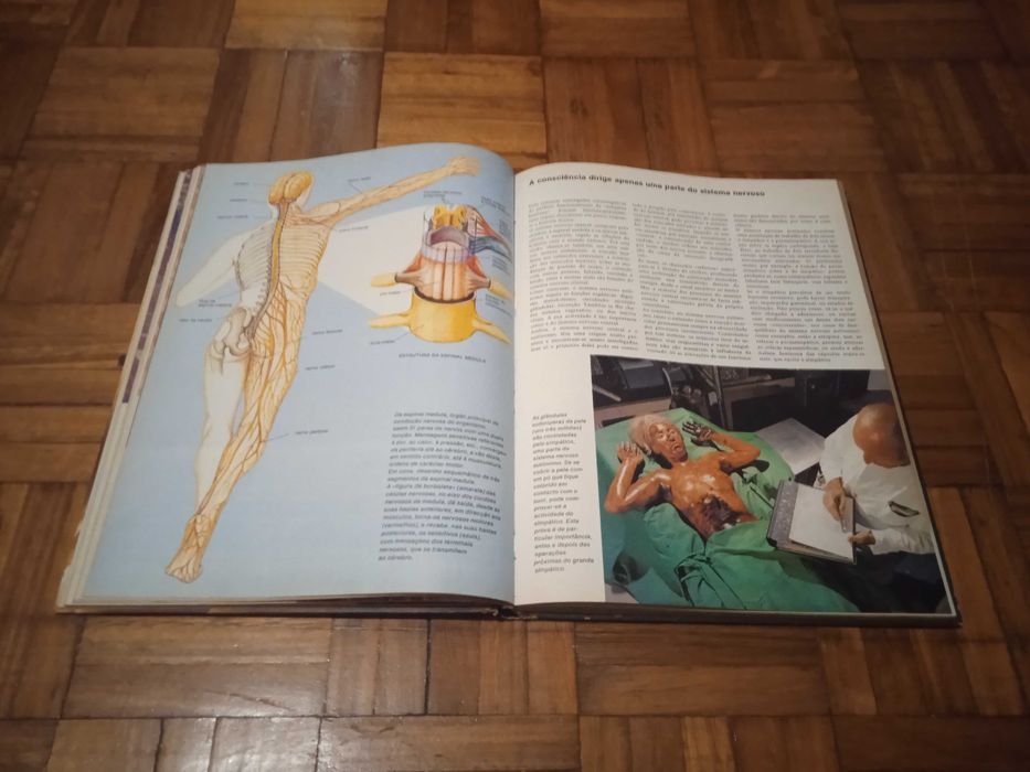 O Homem, seu corpo e seu espírito - Markus Plessner